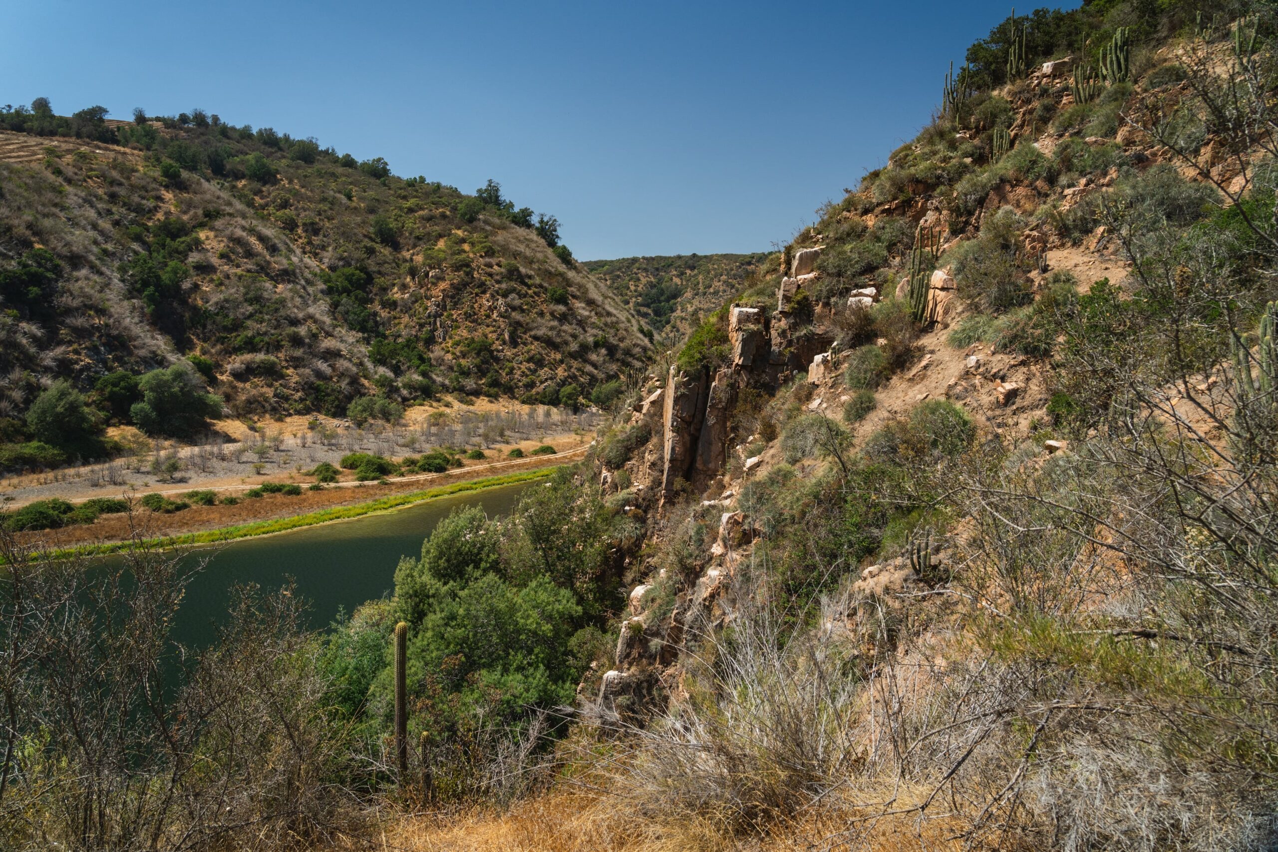Ucuquer vineyard and river