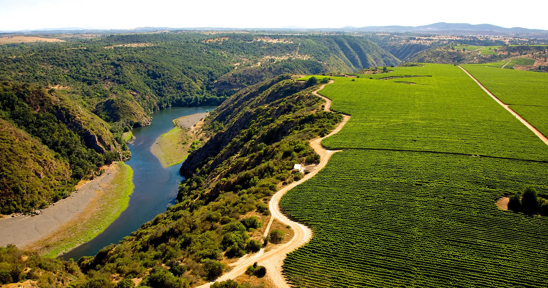 Colchagua