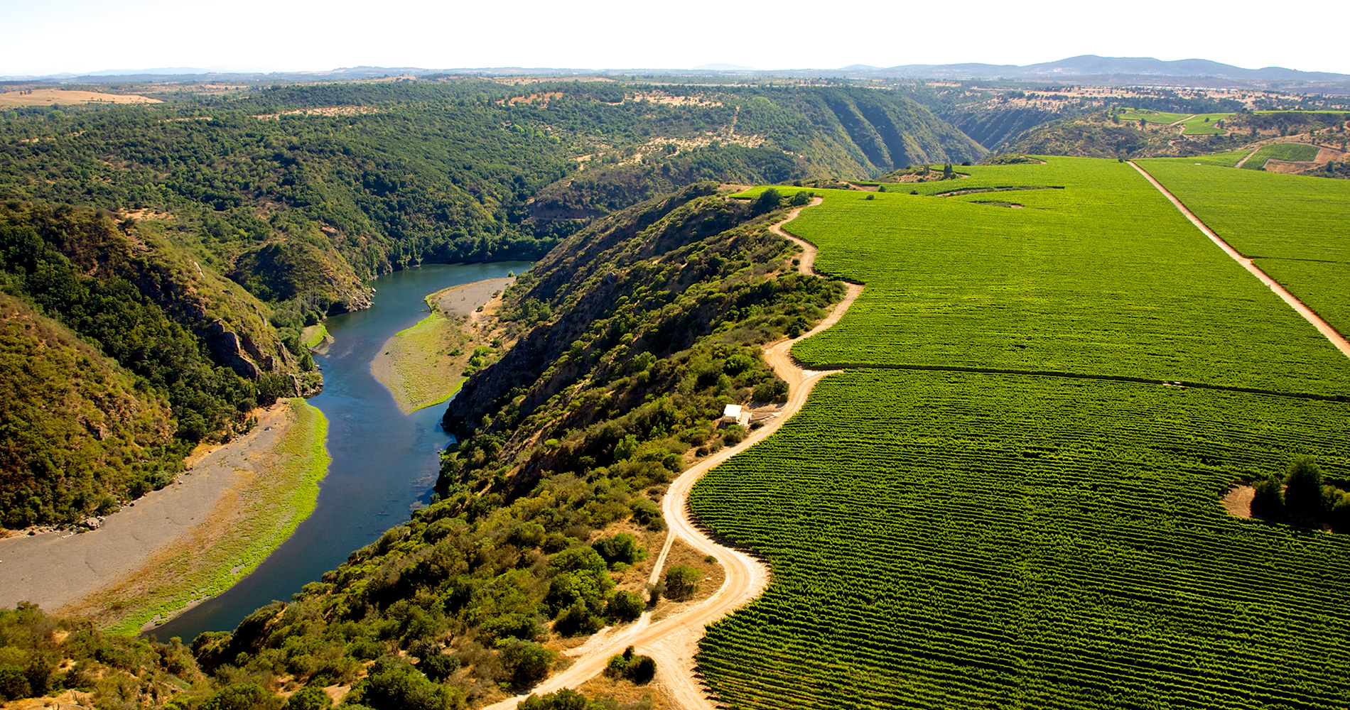 Colchagua