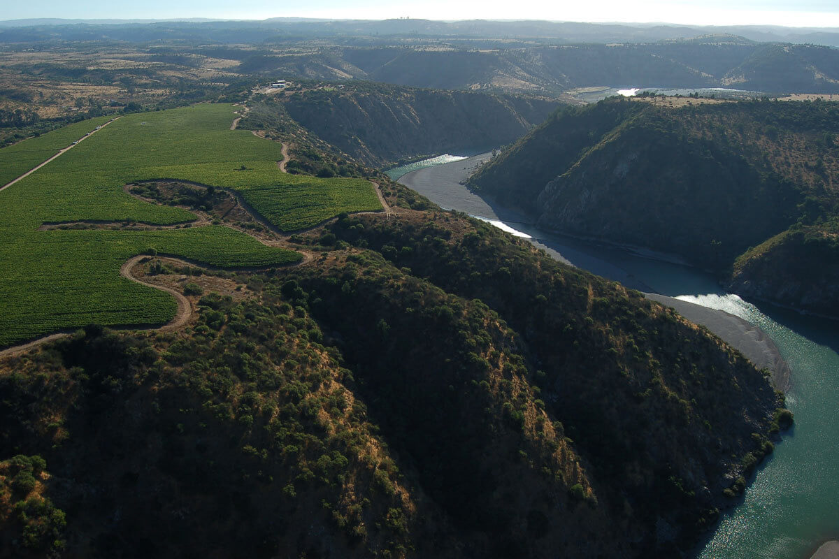 viñedoucuquer