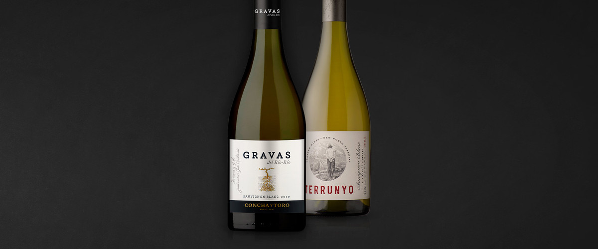 Remarkable scores for Concha y Toro’s Sauvignon Blanc in Wine Enthusiast