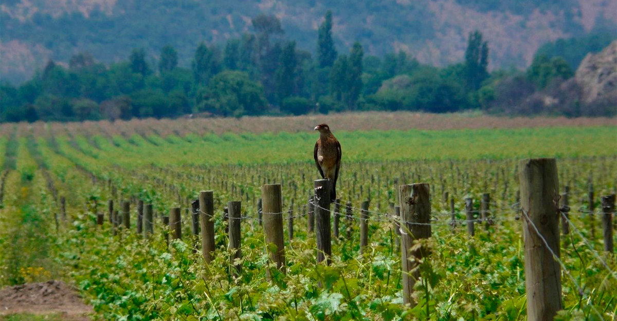 Earth Day: what you need to know