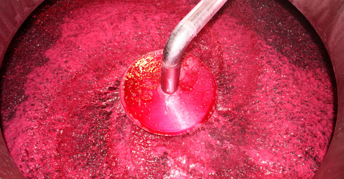El ABC del vino