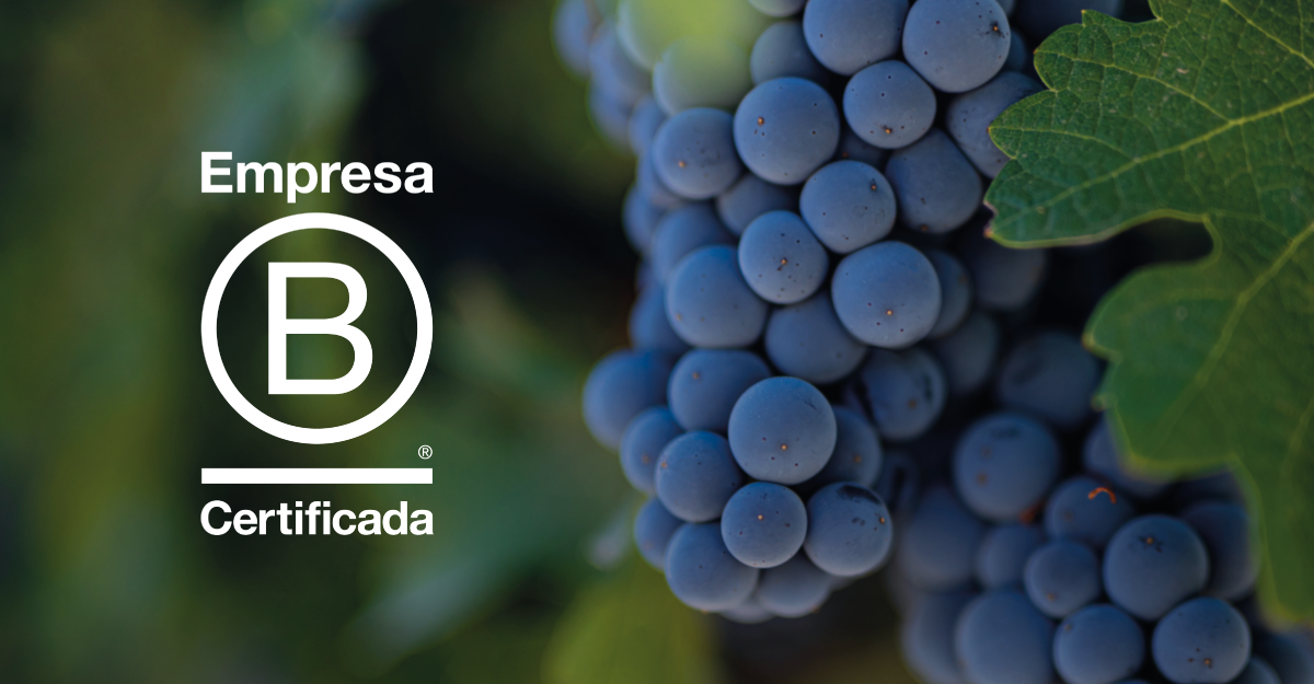 ¡Ahora Concha y Toro es una Empresa B!