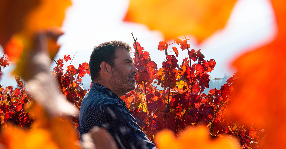 Marcio Ramírez, 20 harvests in the Carmenere country