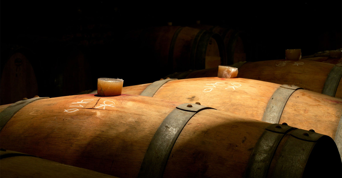 ¿Qué es la fermentación maloláctica?