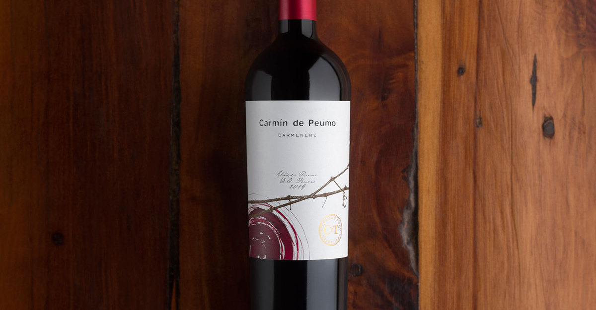 Outstanding scores for Concha y Toro in Descorchados 2022 wine guide