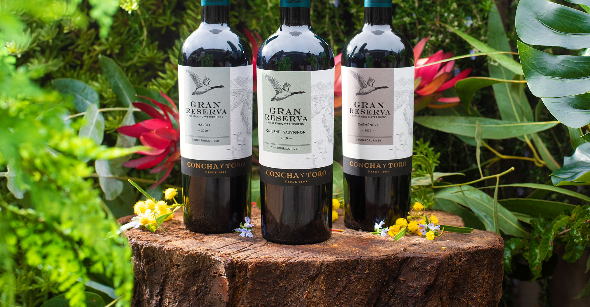 Gran Reserva Cabernet Sauvignon 2021