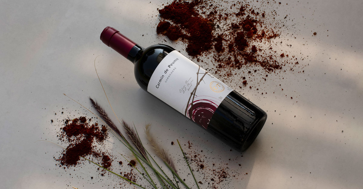 Carmín de Peumo ranked as one of the “Top 100 wines of 2021”