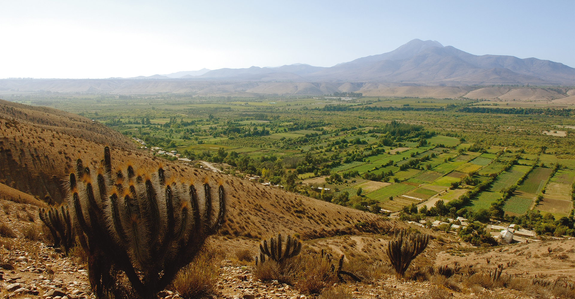 The extreme beauty of Limarí Valley
