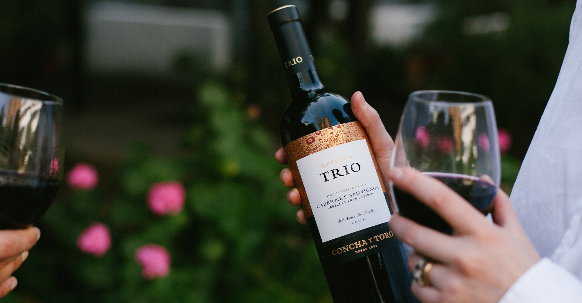 36 wines from the Concha y Toro portfolio are officially vegan