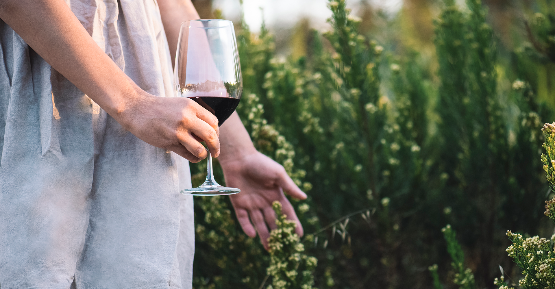 vino vegano