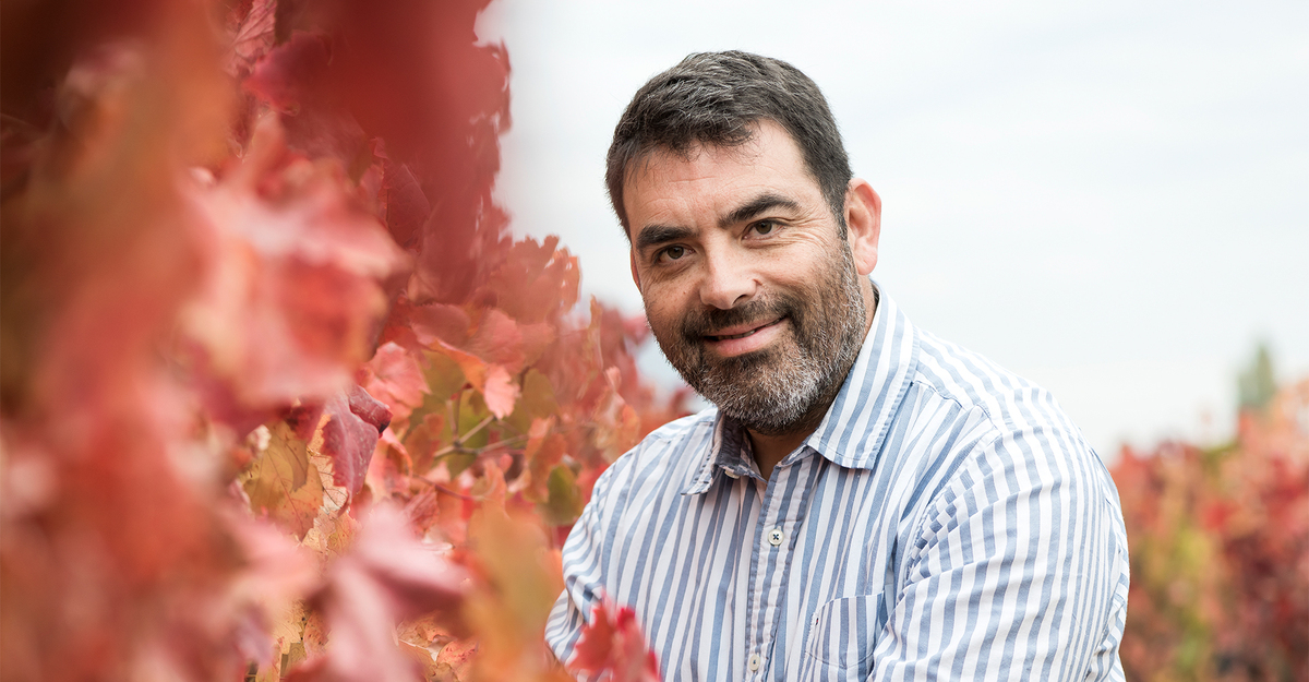 Marcio Ramírez: Mr. Carmenère