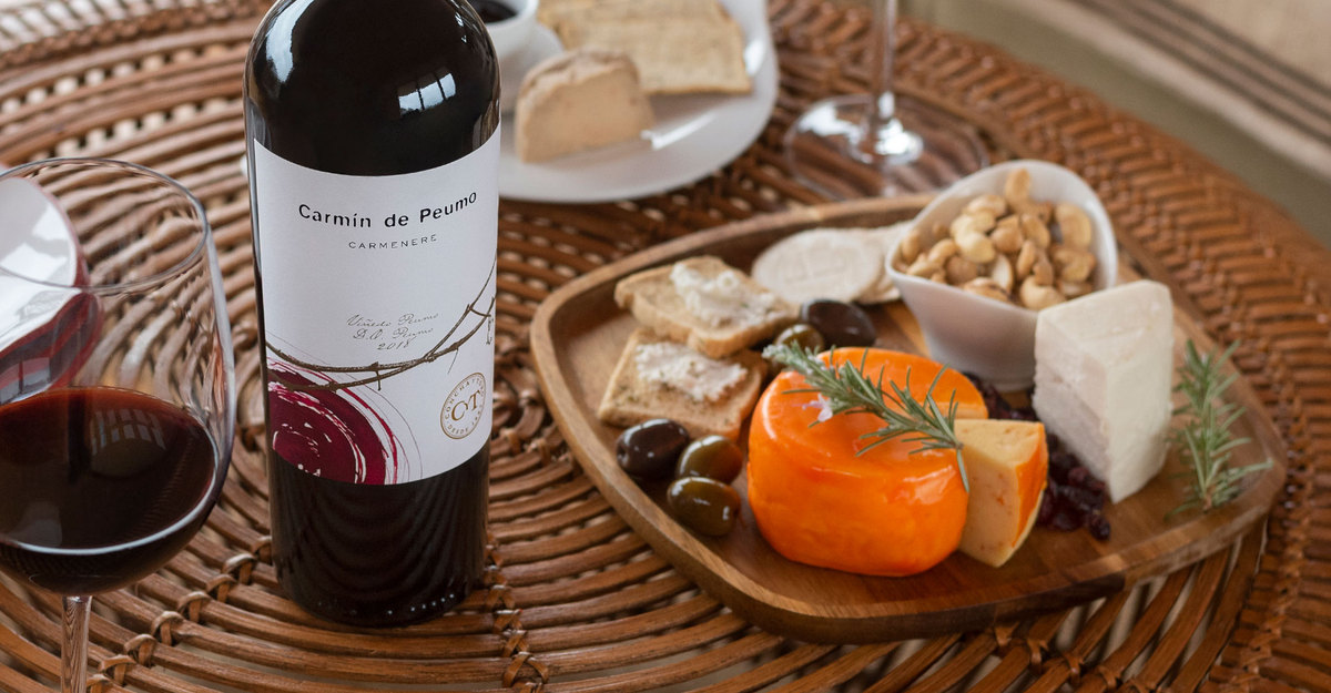 Umami: el quinto sabor y su relación con el vino