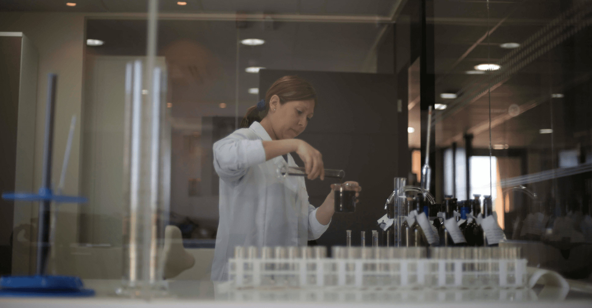 CII Concha y Toro: Creando los viñedos del futuro