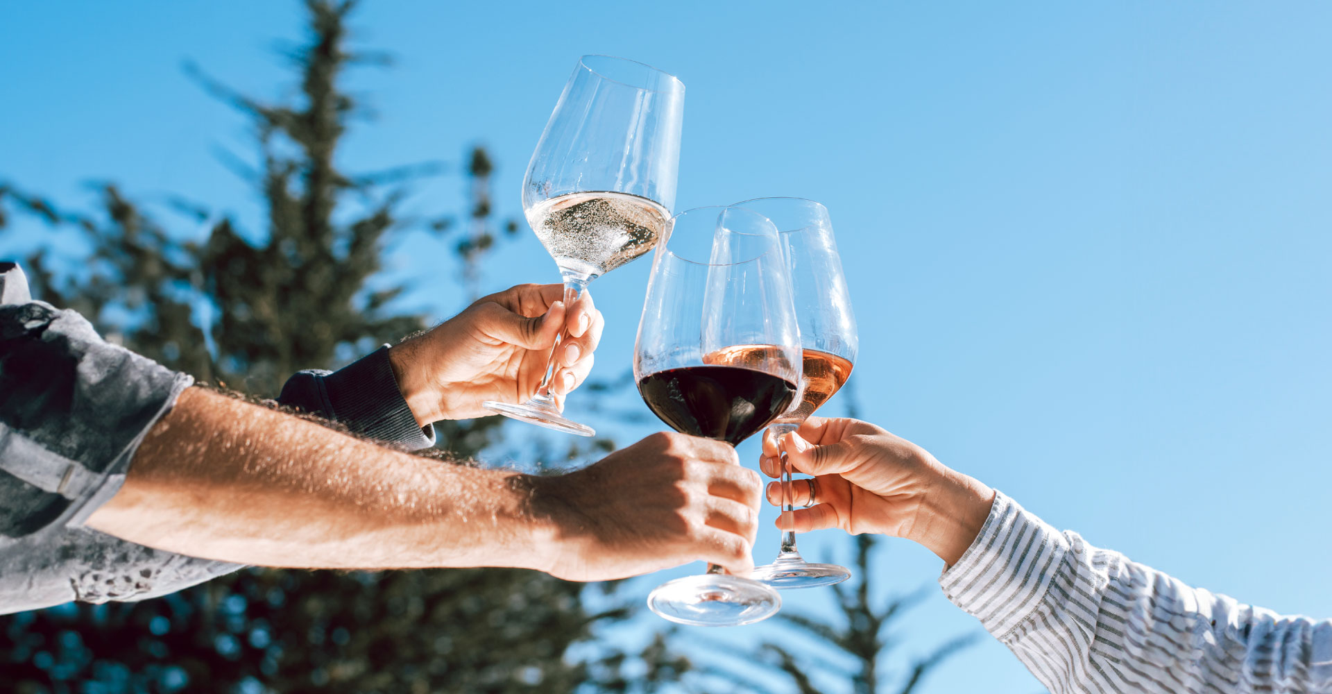 ¿Qué significa que un vino sea jugoso?