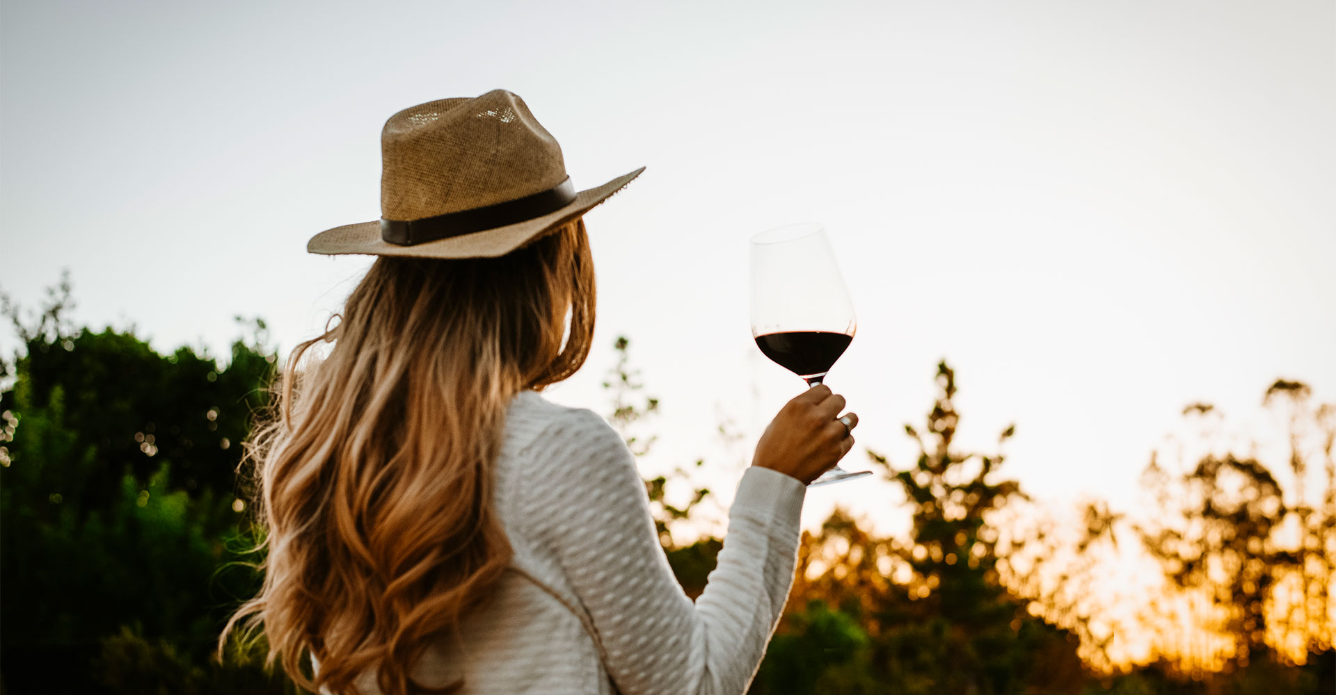 Día del Vino Chileno: más de 500 años de historia y patrimonio