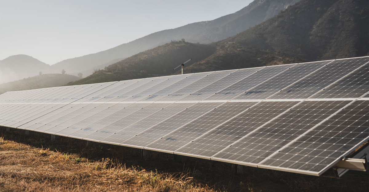 Viña Concha y Toro brings forward its goal of net zero emissions by 10 years