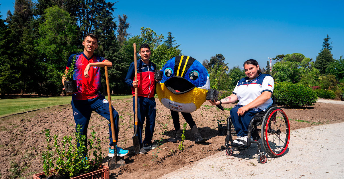 Casillero del Diablo will plant a native tree for each Para-athlete of Santiago 2023