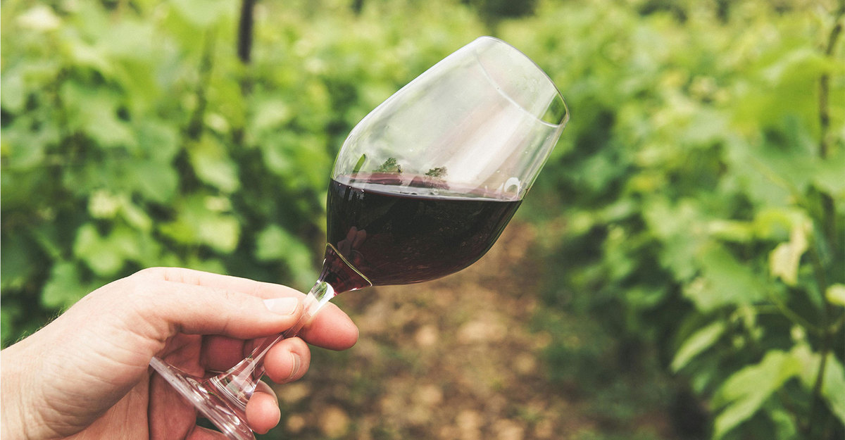 Las curiosidades del Malbec