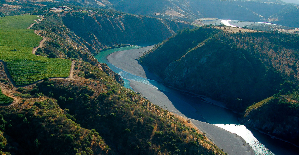Viña Concha y Toro is international case study for its Sustainability strategy