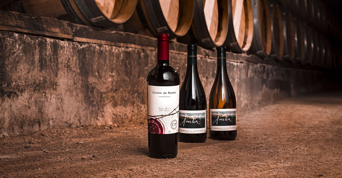 Wine Spectator’s annual report gives our wines historic scores