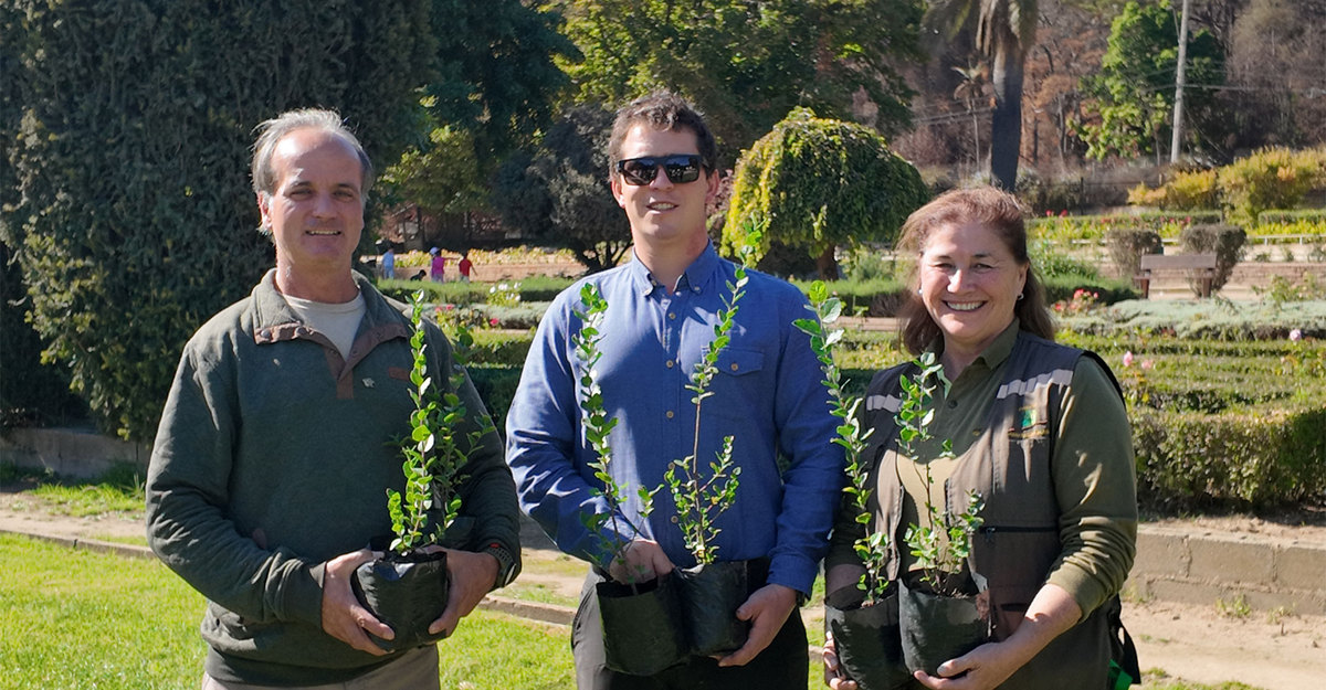 Concha y Toro donates native trees to Viña del Mar’s Botanical Garden in their reforestation efforts.