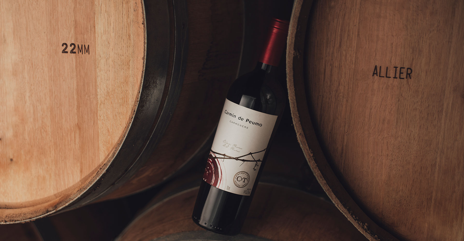 Carmín de Peumo 2021 receives 93 points at Decanter