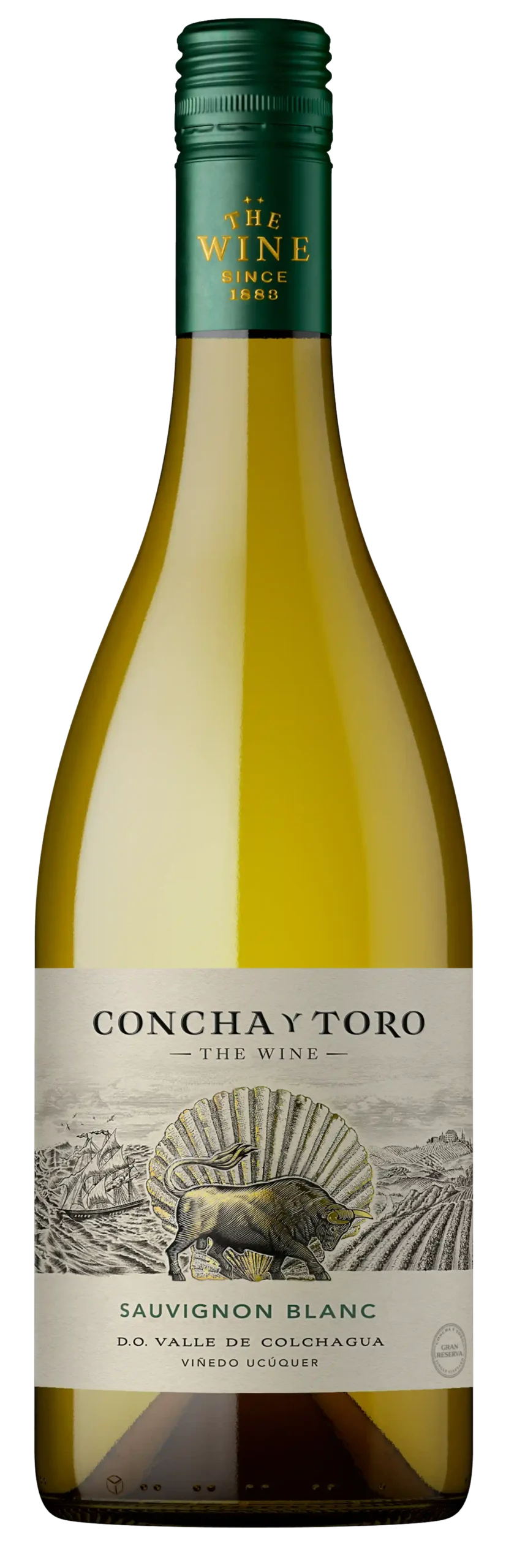 SAUVIGNON BLANC