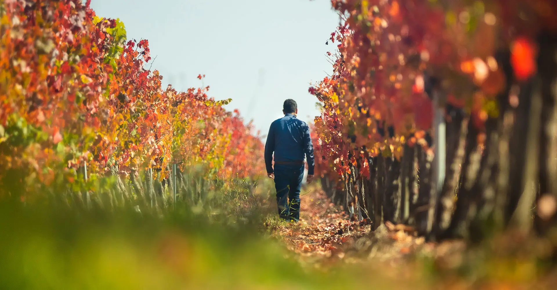 Winemakers