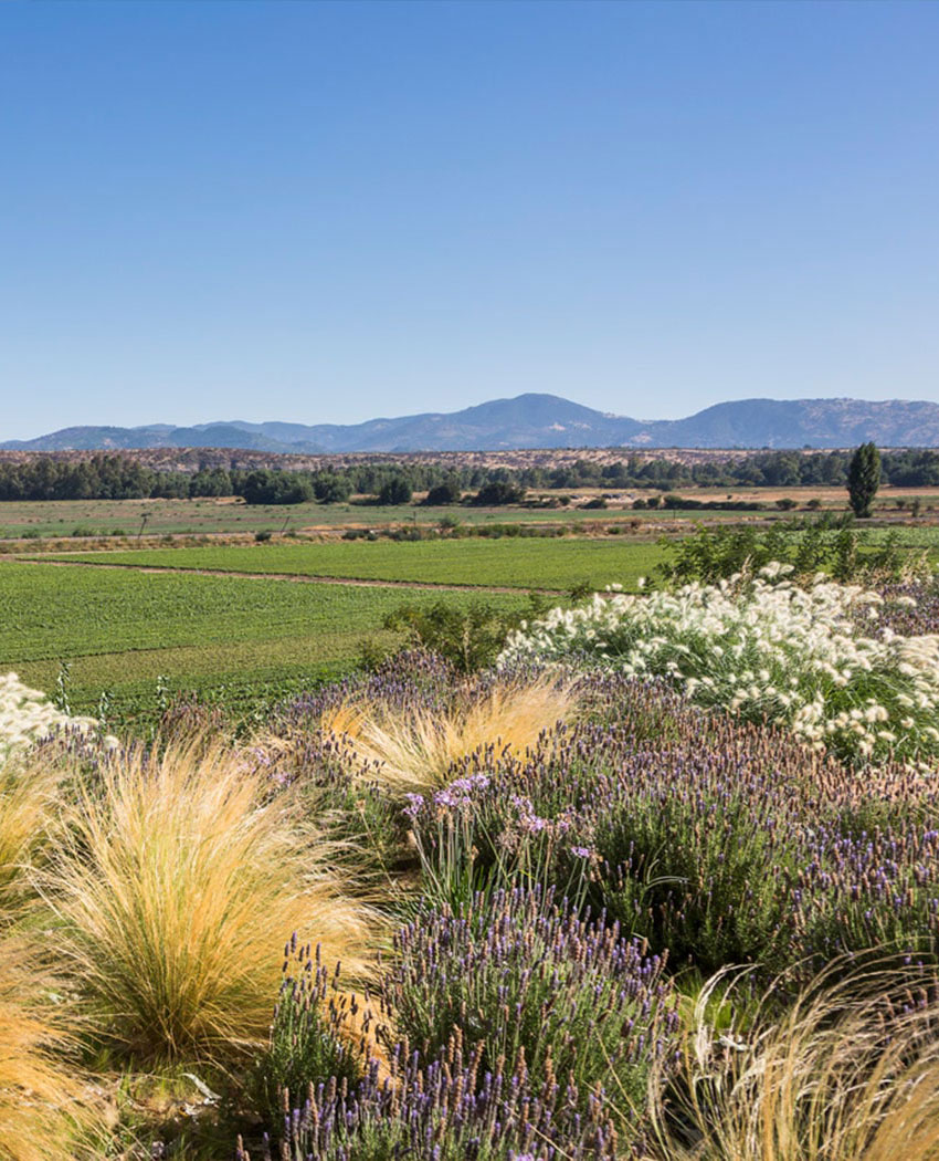 Corredores biologicos, sustentabilidad