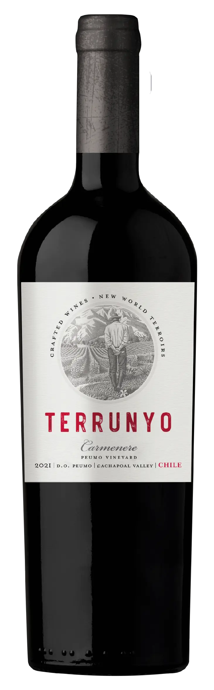 Terrunyo