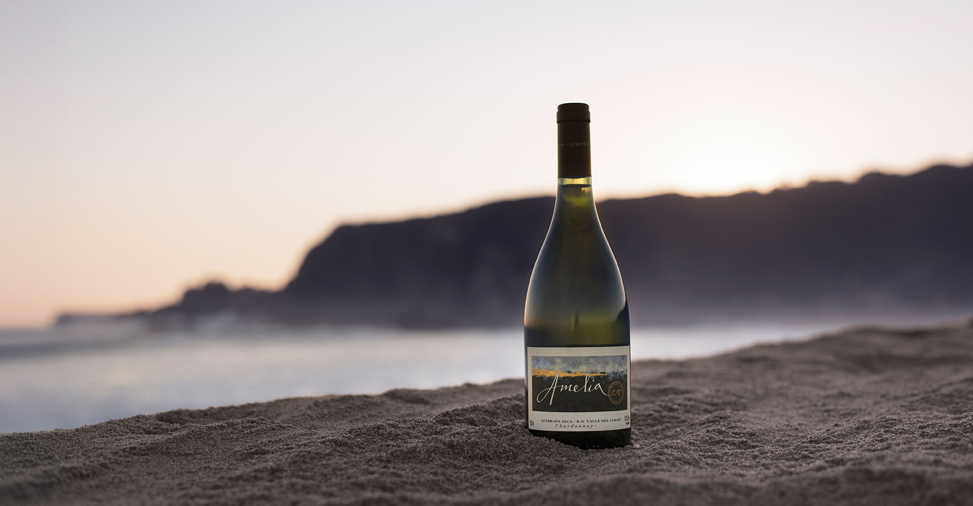 Viña Concha y Toro receives outstanding scores in Joaquín Hidalgo’s Chile Report 2025