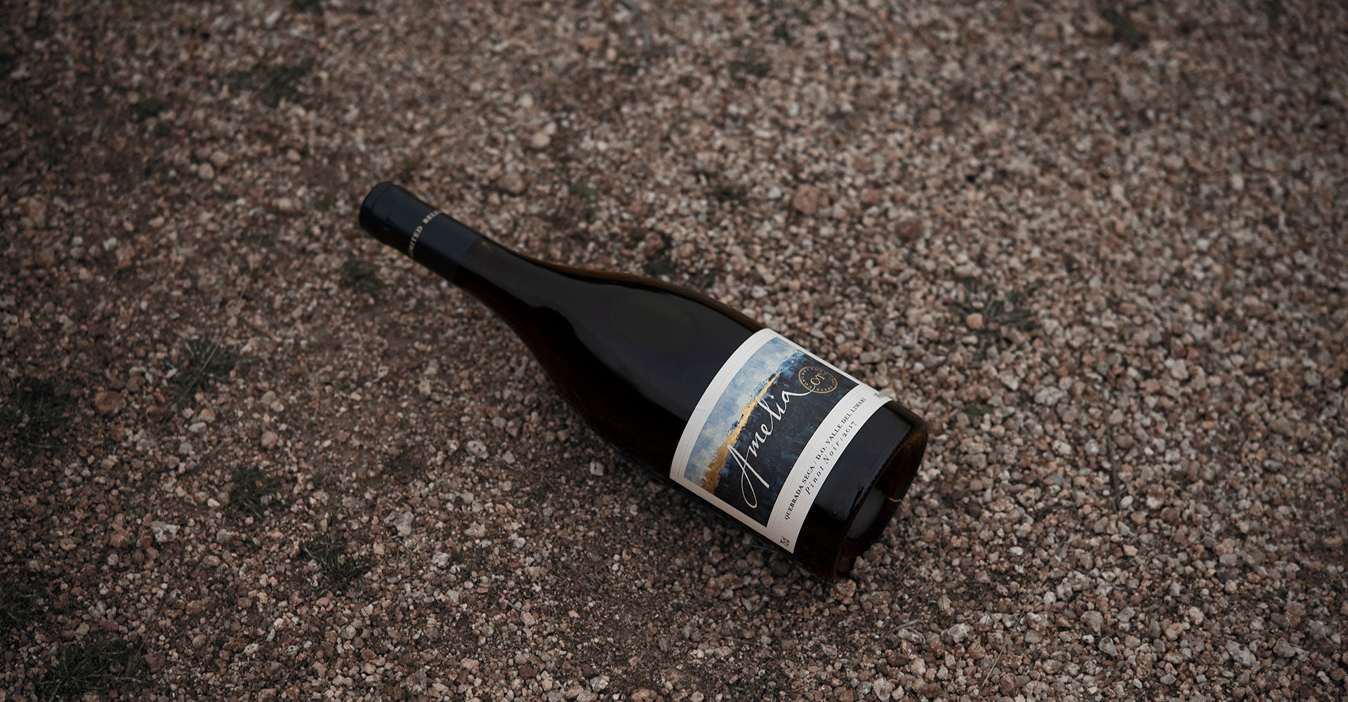 Pinot Noir: A grape that goes beyond boundaries