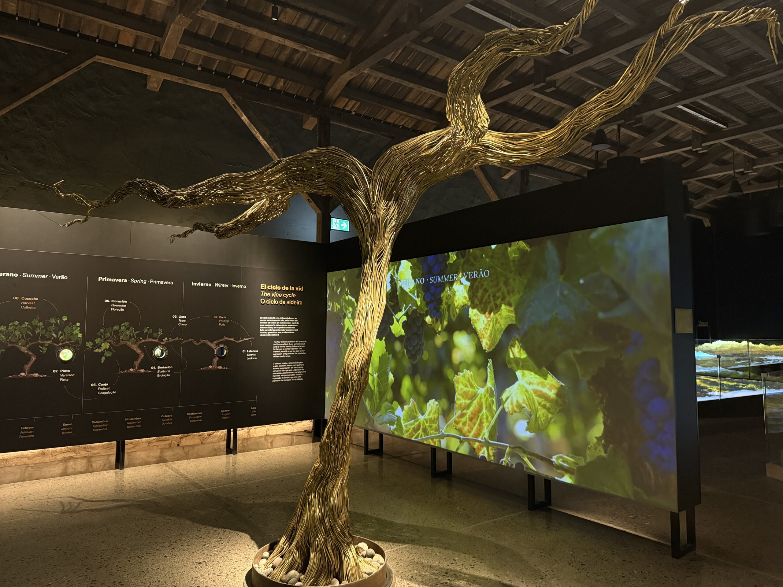 Six Immersive Zones and Transformative Experiences: The New Wine Tourism Concept at Centro del Vino Concha y Toro