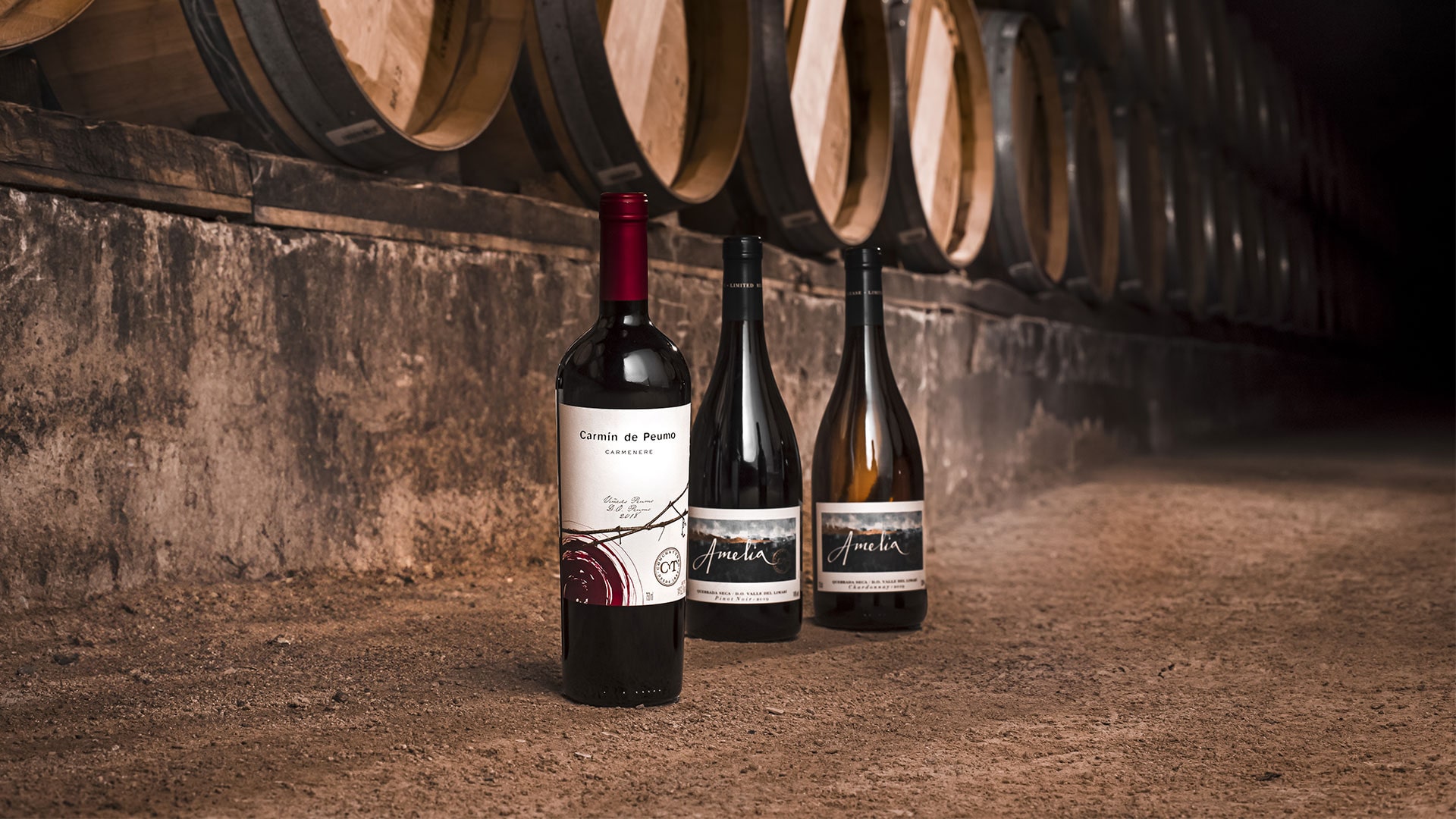 The Master Cabernet Sauvignon 2022