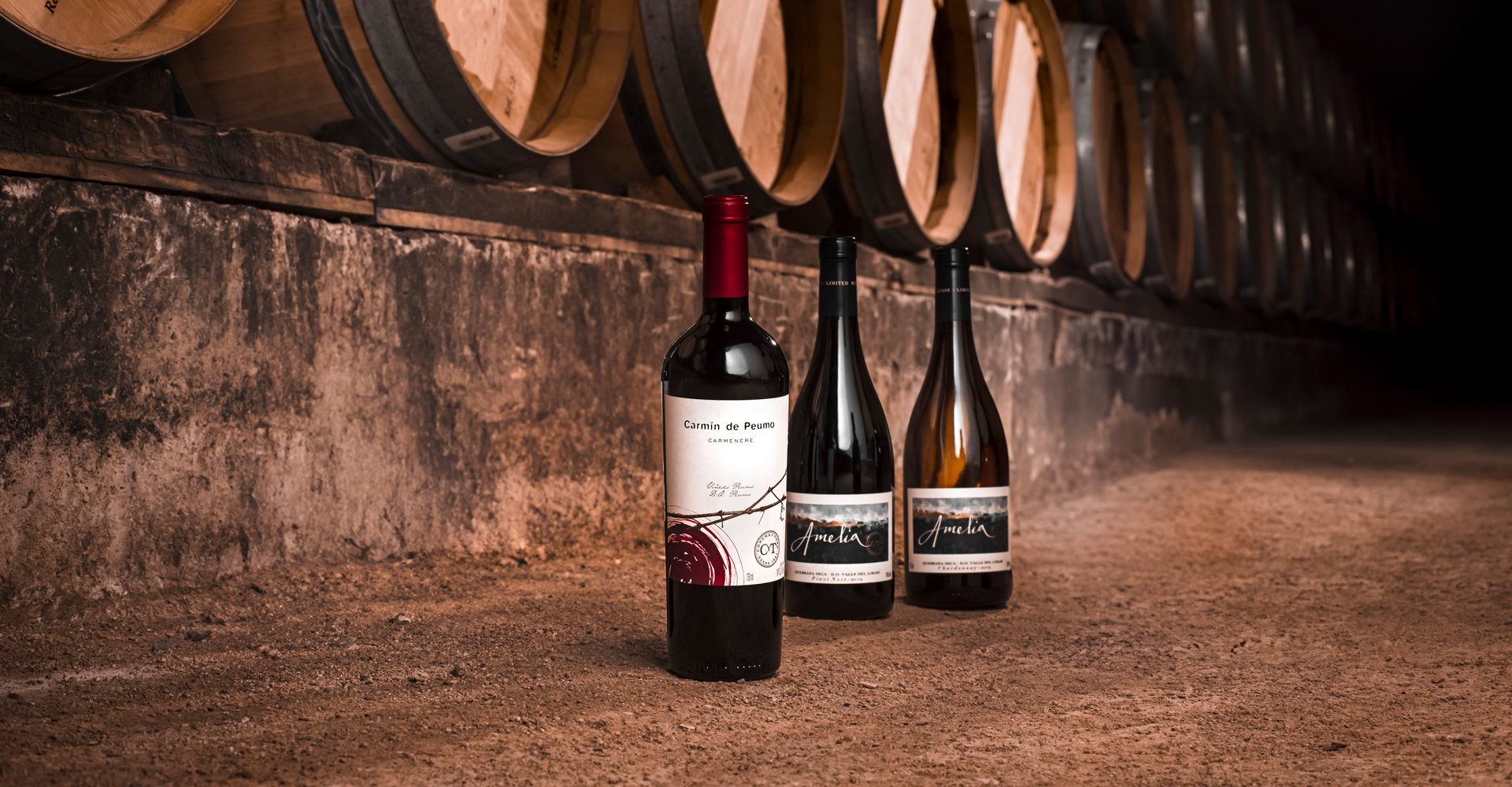 Destacados puntajes y reconocimientos para nuestros vinos en Guía Descorchados 2026