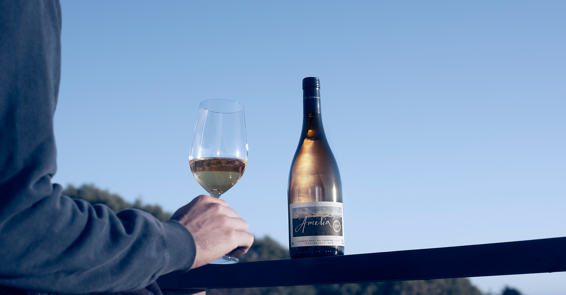 Matthew Horkey destaca a Amelia Chardonnay como uno de los “Mejores Vinos de 2025″
